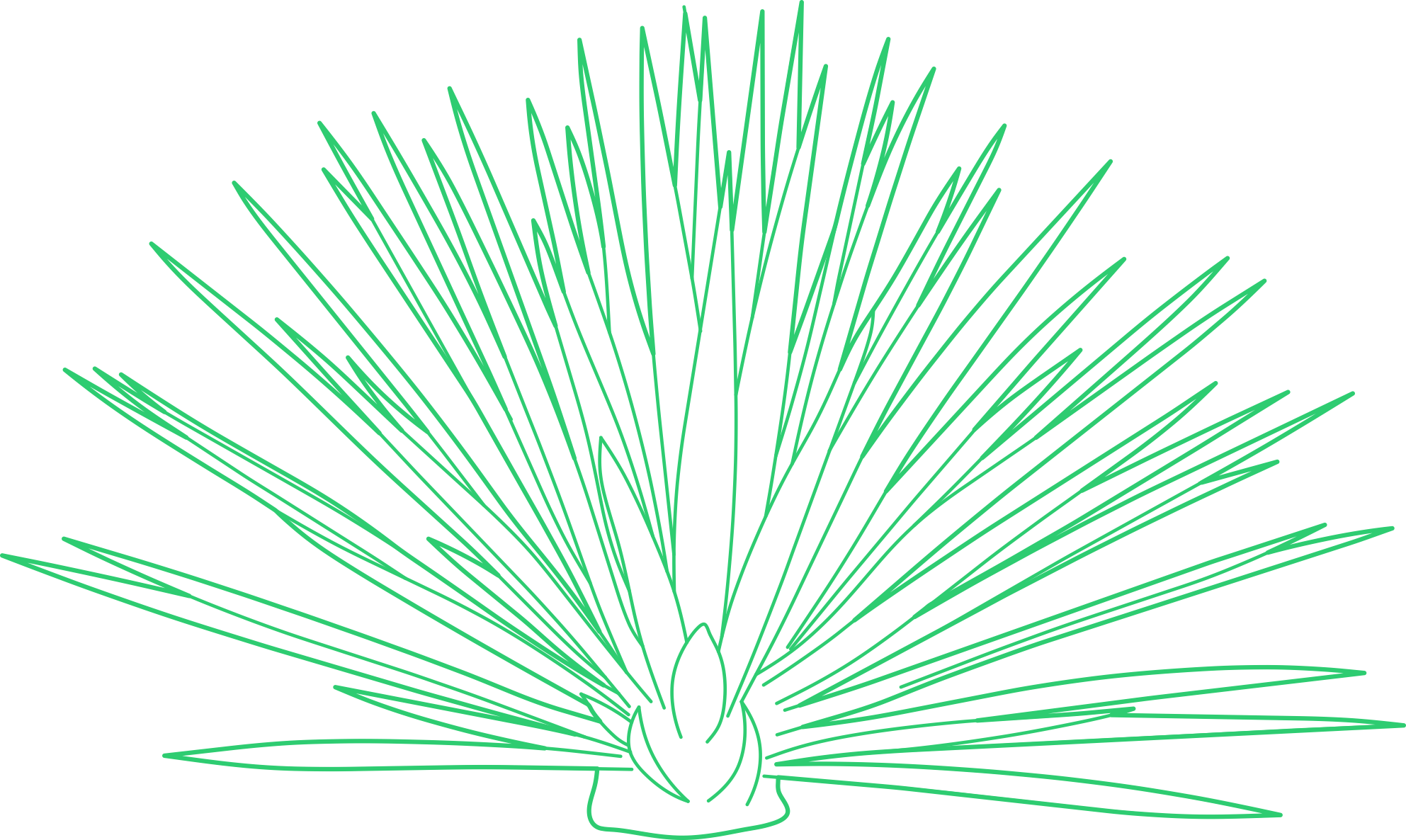 Plants Agave Blue Engraving Svg Design Free Vectors